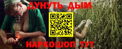 стаф Краснодар